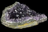Purple Amethyst Cluster - Uruguay #66746-3